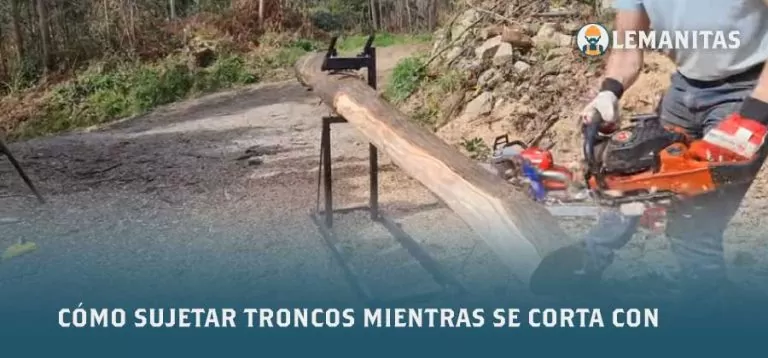 Cómo Sujetar Troncos Mientras Se Corta Con